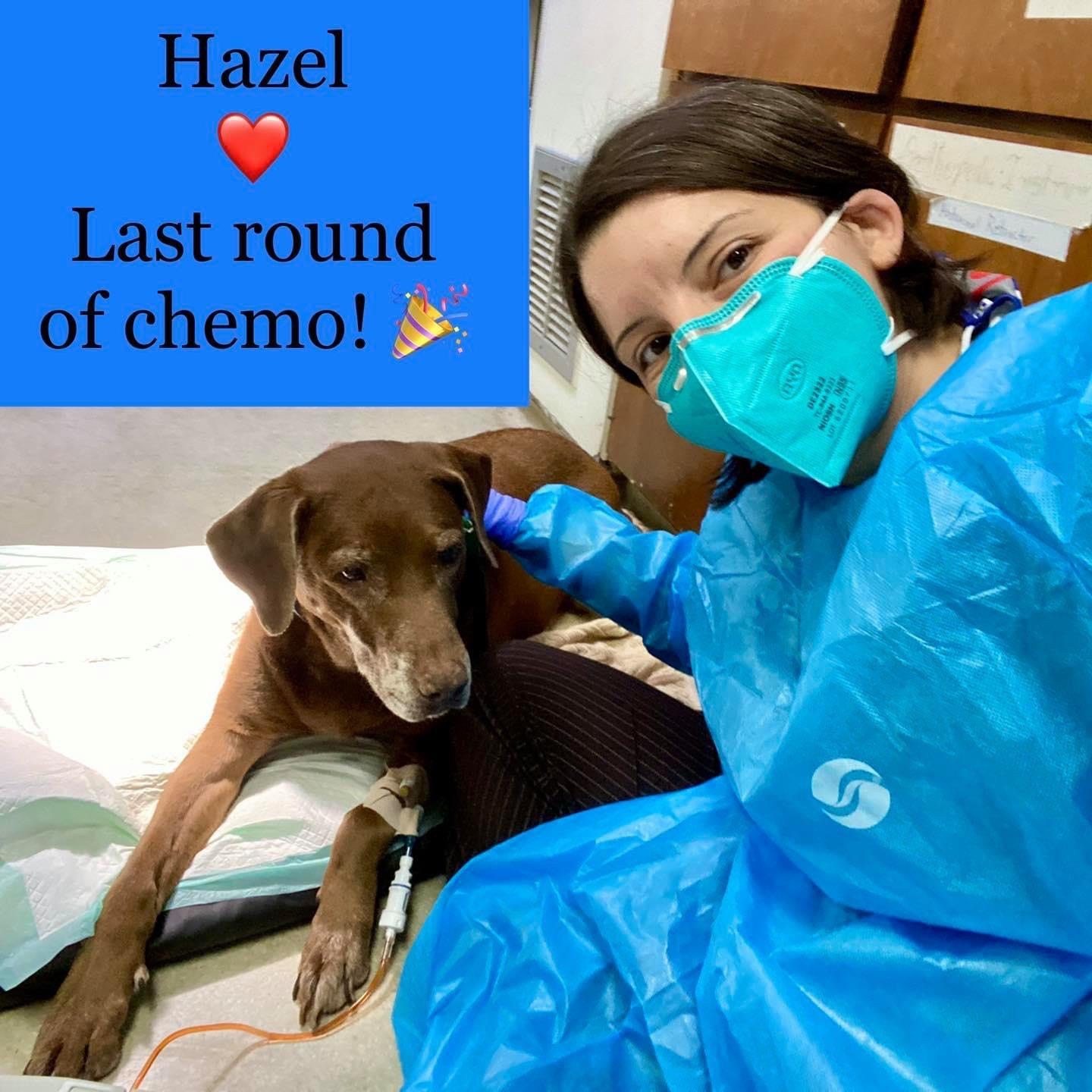 Hazel-Last-Round-of-Chemo.jpg
